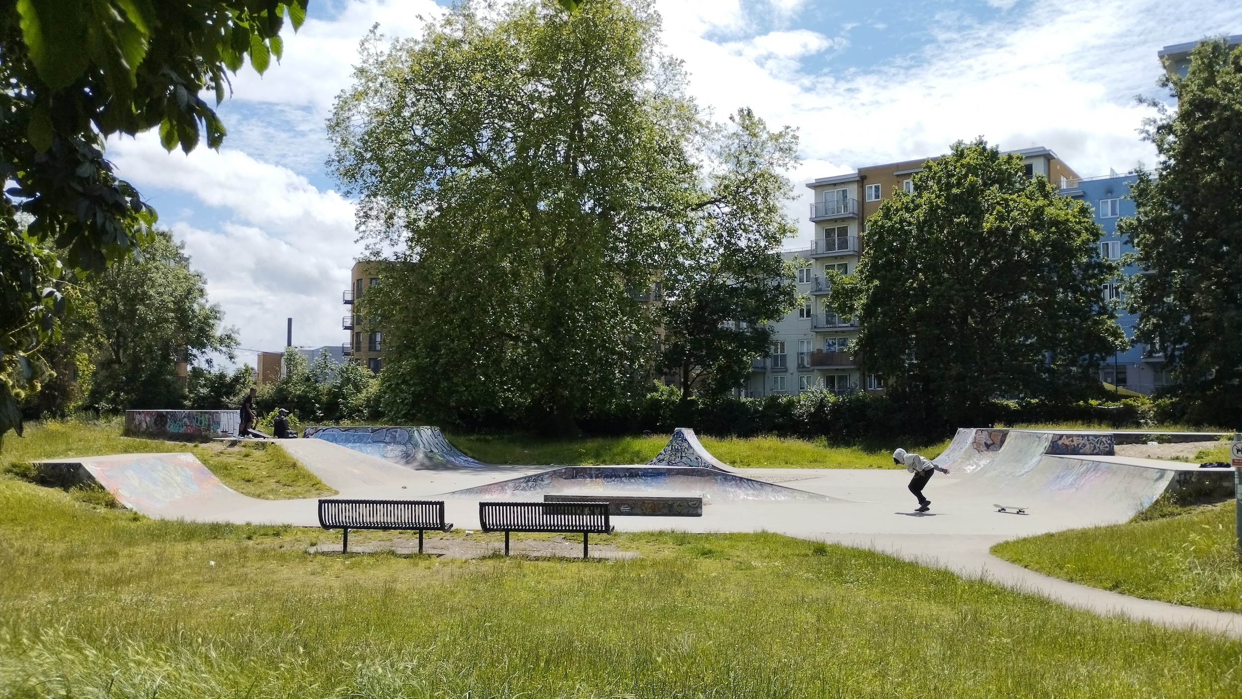 Wandle skatepark